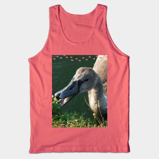 Swan Baby Eating Tank Top by Nicole Gath Photography